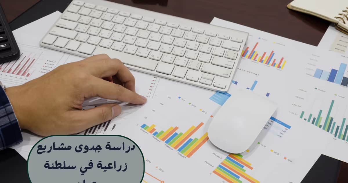 دراسة جدوى مشاريع زراعية في سلطنة عمان